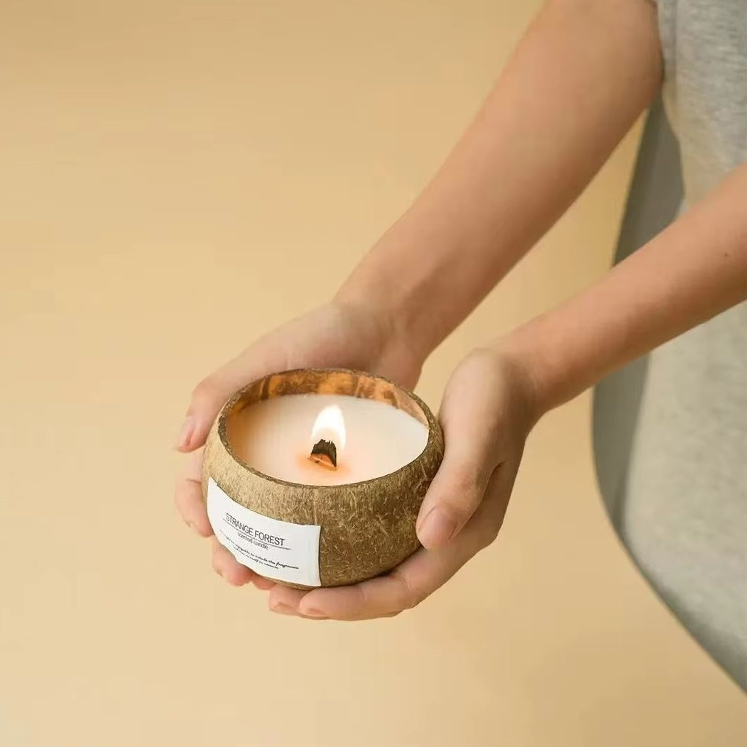 천연 코코넛 껍질 향초, 아로마테라피 식물 에센셜 오일 - Home Decor Essentials 리뷰 및 가격